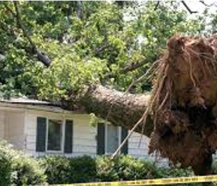 uprooted tree on a house from a storm