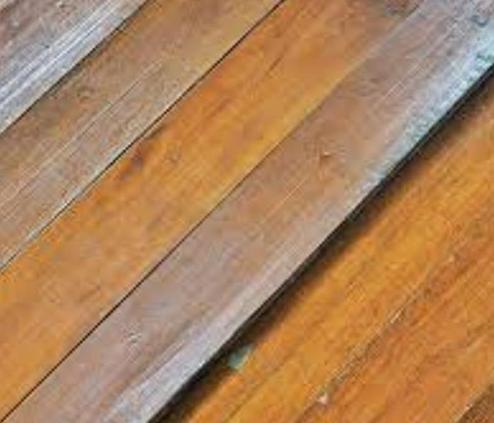 Hardwood Floor Water Damage