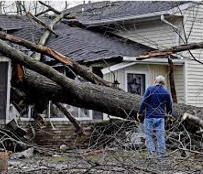 a tree fell on a house from results of a storm