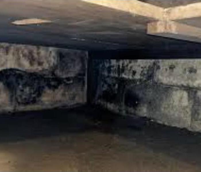 mold on concrete walls in a basement